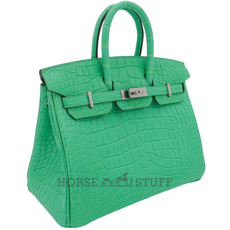 Hermès Birkin 25 Vert Comics Matte Crocodile Alligator PHW