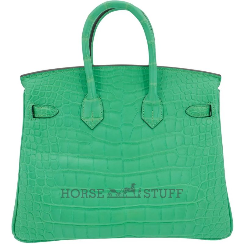 Hermès Birkin 25 Vert Comics Matte Crocodile Alligator PHW