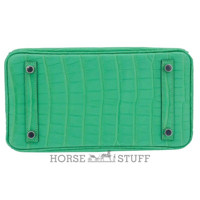 Hermès Birkin 25 Vert Comics Matte Crocodile Alligator PHW