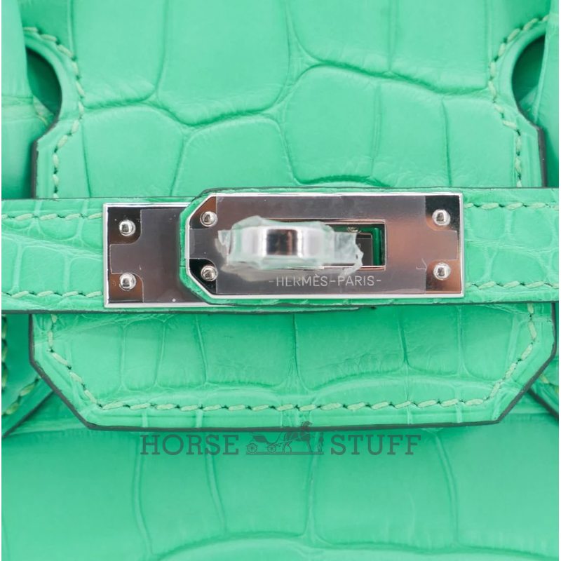 Hermès Birkin 25 Vert Comics Matte Crocodile Alligator PHW
