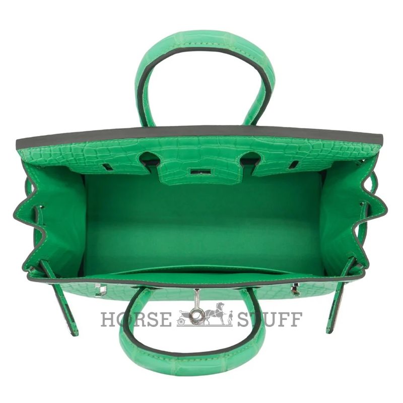 Hermès Birkin 25 Vert Comics Matte Crocodile Alligator PHW