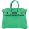 Hermès Birkin 25 Vert Comics Matte Crocodile Alligator PHW