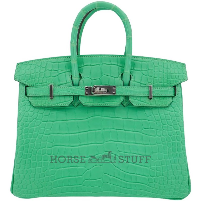 Hermès Birkin 25 Vert Comics Matte Crocodile Alligator PHW