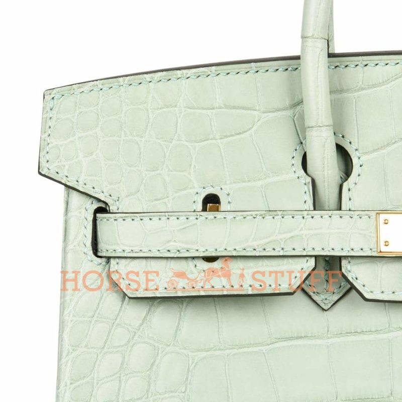 Hermès Birkin 25 Vert d'Eau Matte Crocodile Alligator GHW