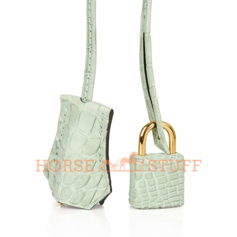 Hermès Birkin 25 Vert d'Eau Matte Crocodile Alligator GHW