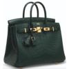 Hermès Birkin 25 Vert Fonce Matte Crocodile Alligator GHW