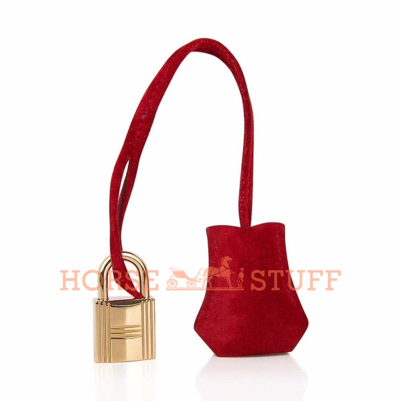 Hermès Birkin 25 Rouge Vif Doblis Suede GHW