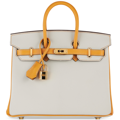 Hermès Birkin 25 Special Order HSS Blue Glacier / Moutarde Chevre GHW