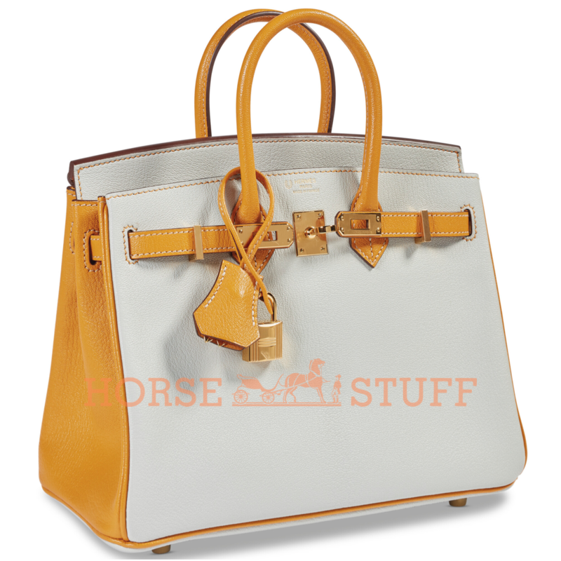 Hermès Birkin 25 Special Order HSS Blue Glacier / Moutarde Chevre GHW