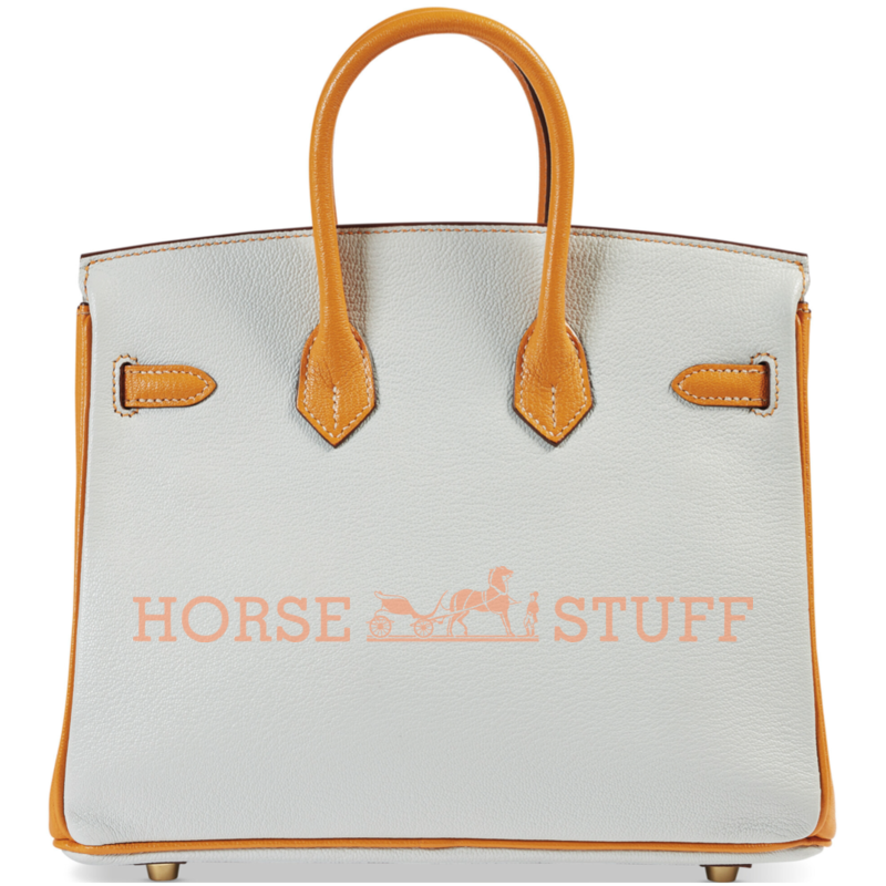 Hermès Birkin 25 Special Order HSS Blue Glacier / Moutarde Chevre GHW