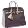 Hermès Birkin 25 Special Order HSS Raisin / Blue Glacier Chevre BGHW