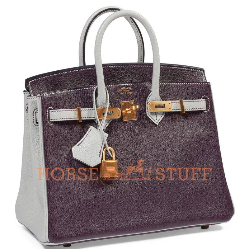 Hermès Birkin 25 Special Order HSS Raisin / Blue Glacier Chevre BGHW