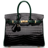 Hermès Birkin 25 Special Order HSS Black / Vert Fonce Lisse Crocodile Niloticus GHW