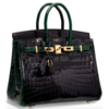 Hermès Birkin 25 Special Order HSS Black / Vert Fonce Lisse Crocodile Niloticus GHW