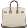 Hermès Birkin 25 Special Order HSS Beton / Gris Asphalt Ostrich BGHW