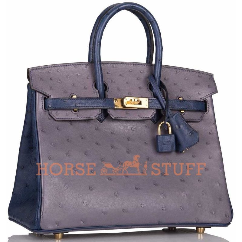 Hermès Birkin 25 Special Order HSS Gris Agate / Blue Iris Ostrich GHW