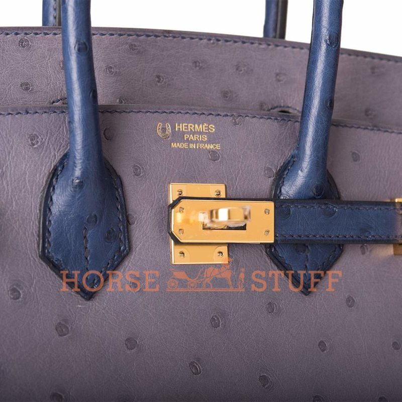 Hermès Birkin 25 Special Order HSS Gris Agate / Blue Iris Ostrich GHW