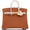 Hermès Birkin 25 Special Order HSS Gold / Nata Togo BGHW