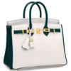 Hermès Birkin 25 Special Order HSS White / Malachite with Anemone Stitching Togo BGHW