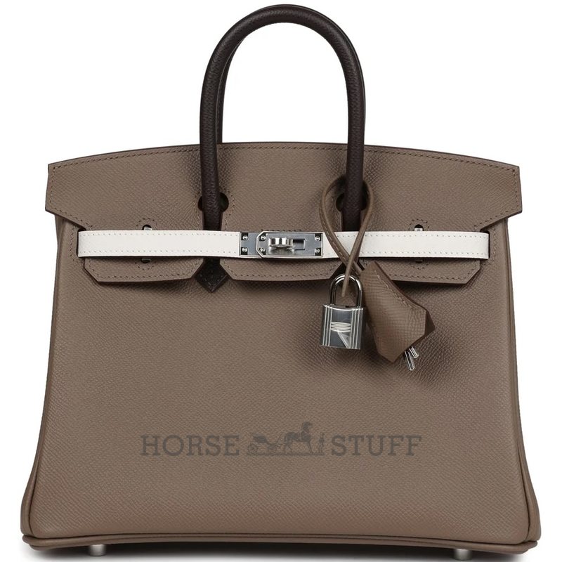 Hermès Birkin 25 Limited Edition Tricolor Etoupe / Ebene / Gris Pale Epsom PHW