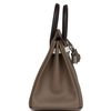 Hermès Birkin 25 Limited Edition Tricolor Etoupe / Ebene / Gris Pale Epsom PHW