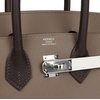 Hermès Birkin 25 Limited Edition Tricolor Etoupe / Ebene / Gris Pale Epsom PHW
