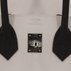 Hermès Birkin 25 Limited Edition Tricolor Gris Pale / Vert Fizz / Graphite Epsom PHW