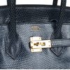 HERMÈS BIRKIN 25 Blue de Malte Shiny Niloticus Lizard GHW