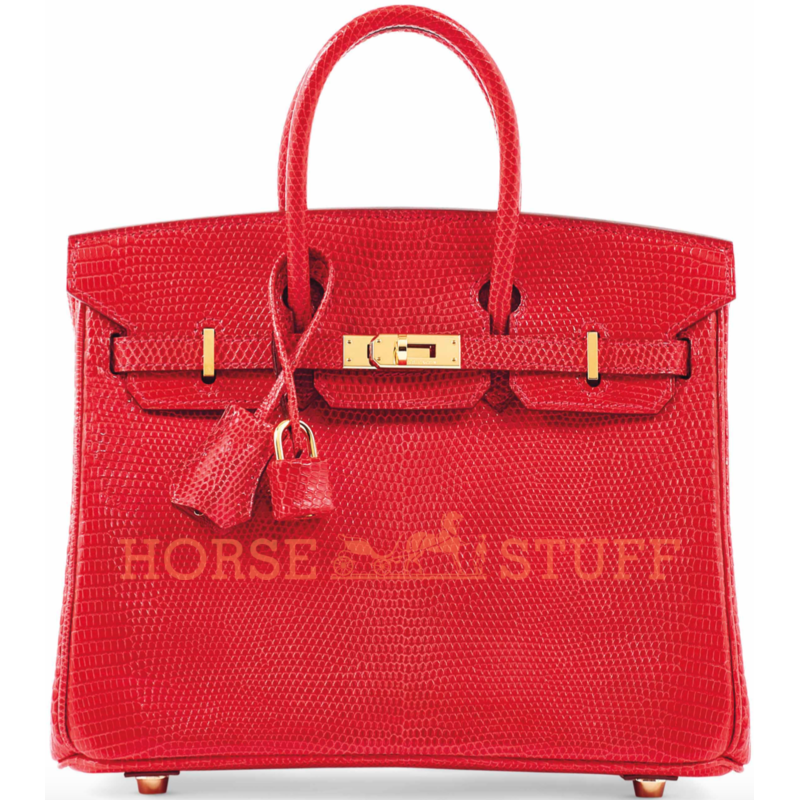 Hermès Birkin 25 Braise Shiny Niloticus Lizard GHW