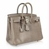 Hermès Birkin 25 Gris Agate Niloticus Lizard PHW