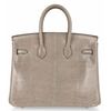 Hermès Birkin 25 Gris Agate Niloticus Lizard PHW