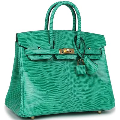 HERMÈS BIRKIN 25 Menthe Shiny Niloticus Lizard GHW