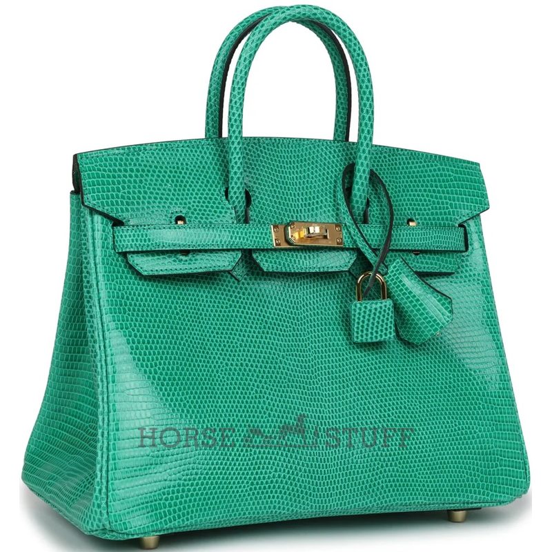 HERMÈS BIRKIN 25 Menthe Shiny Niloticus Lizard GHW