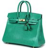 HERMÈS BIRKIN 25 Menthe Shiny Niloticus Lizard GHW