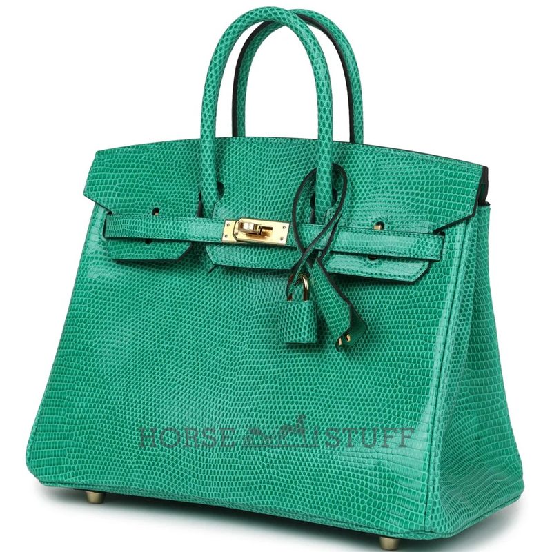 HERMÈS BIRKIN 25 Menthe Shiny Niloticus Lizard GHW