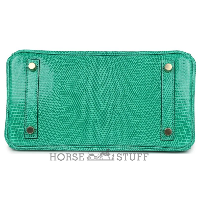 HERMÈS BIRKIN 25 Menthe Shiny Niloticus Lizard GHW