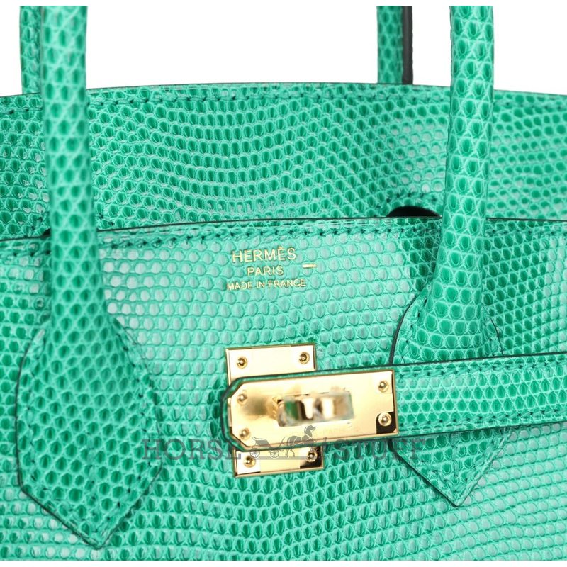 HERMÈS BIRKIN 25 Menthe Shiny Niloticus Lizard GHW