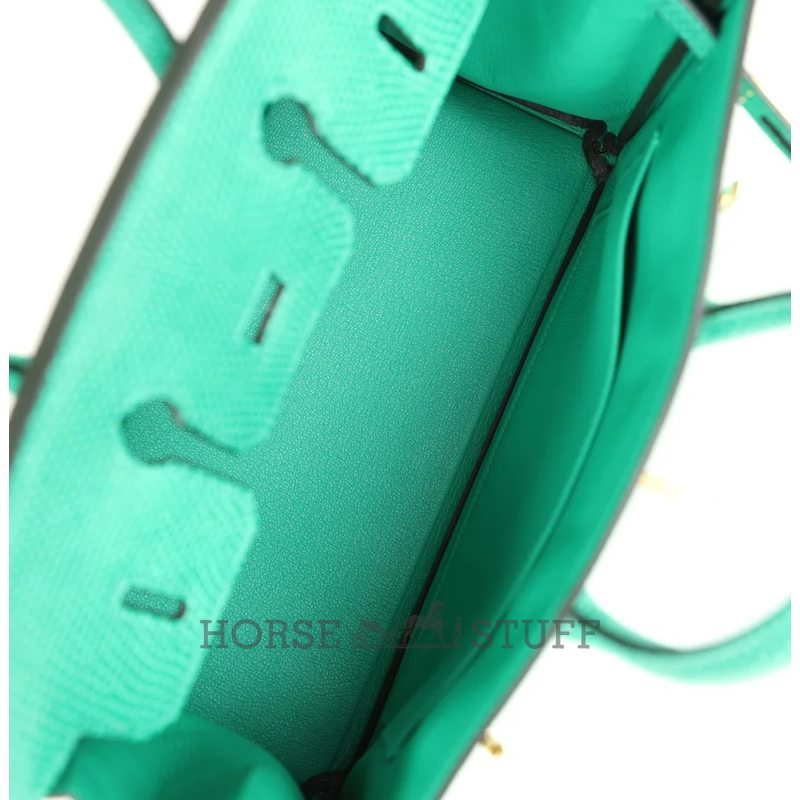 HERMÈS BIRKIN 25 Menthe Shiny Niloticus Lizard GHW