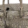 Hermès Birkin 25 Ombre Shiny Salvator Varanus Lizard PHW