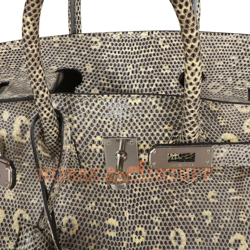 Hermès Birkin 25 Ombre Shiny Salvator Varanus Lizard PHW