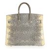 Hermès Birkin 25 Ombre Shiny Salvator Varanus Lizard PHW