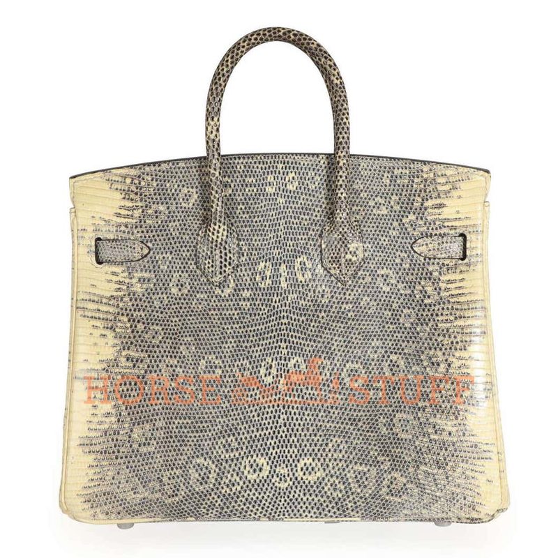 Hermès Birkin 25 Ombre Shiny Salvator Varanus Lizard PHW