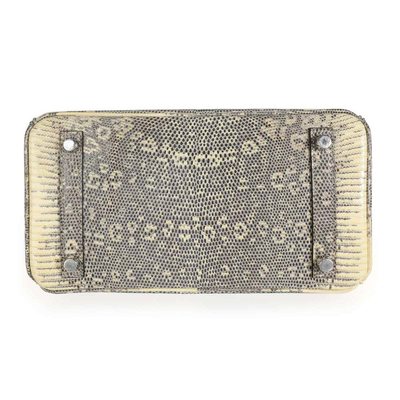 Hermès Birkin 25 Ombre Shiny Salvator Varanus Lizard PHW
