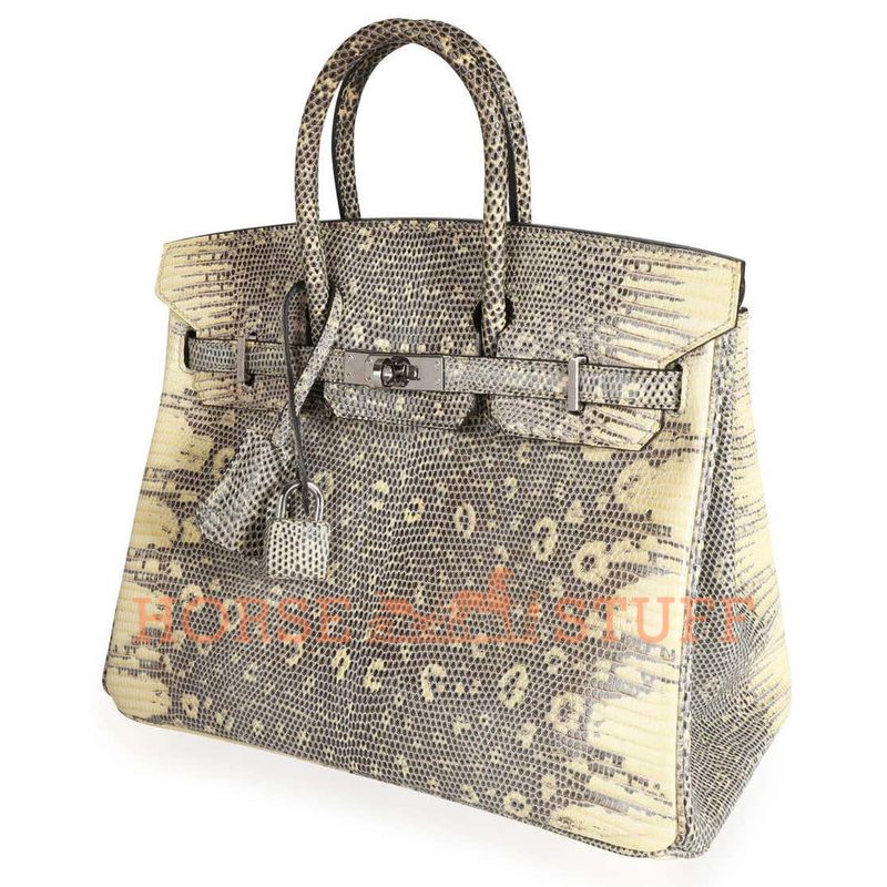 Hermès Birkin 25 Ombre Shiny Salvator Varanus Lizard PHW