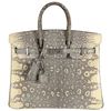 Hermès Birkin 25 Ombre Shiny Salvator Varanus Lizard PHW