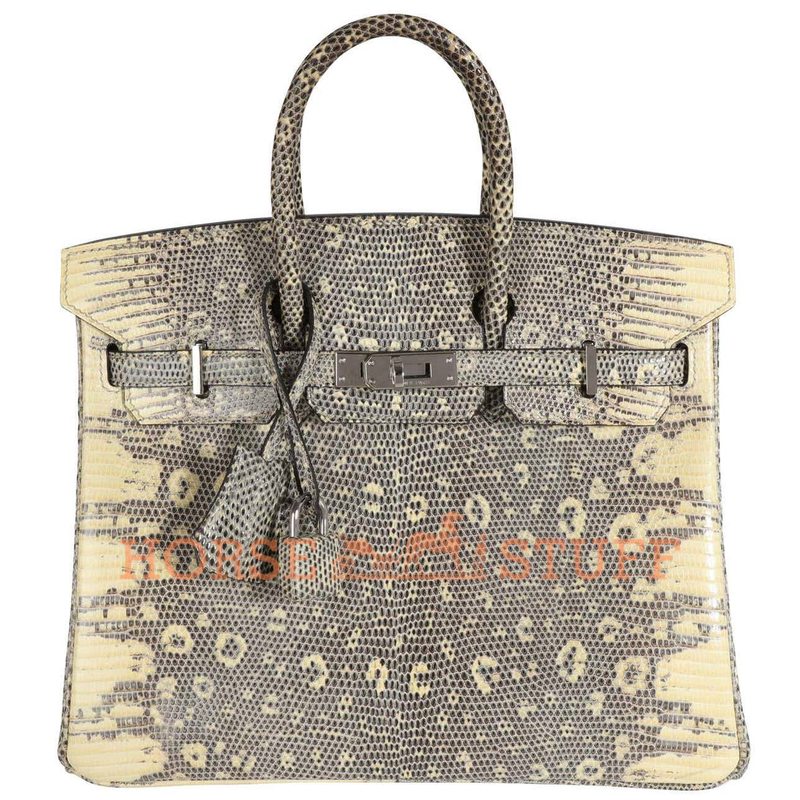 Hermès Birkin 25 Ombre Shiny Salvator Varanus Lizard PHW