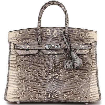 HERMÈS BIRKIN 25 OMBRE ( White ) SHINY SALVATOR VARANUS LIZARD PHW