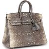 HERMÈS BIRKIN 25 OMBRE ( White ) SHINY SALVATOR VARANUS LIZARD PHW