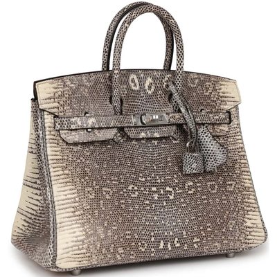 HERMÈS BIRKIN 25 OMBRE SHINY SALVATOR VARANUS LIZARD PHW