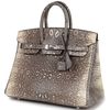 HERMÈS BIRKIN 25 OMBRE ( White ) SHINY SALVATOR VARANUS LIZARD PHW